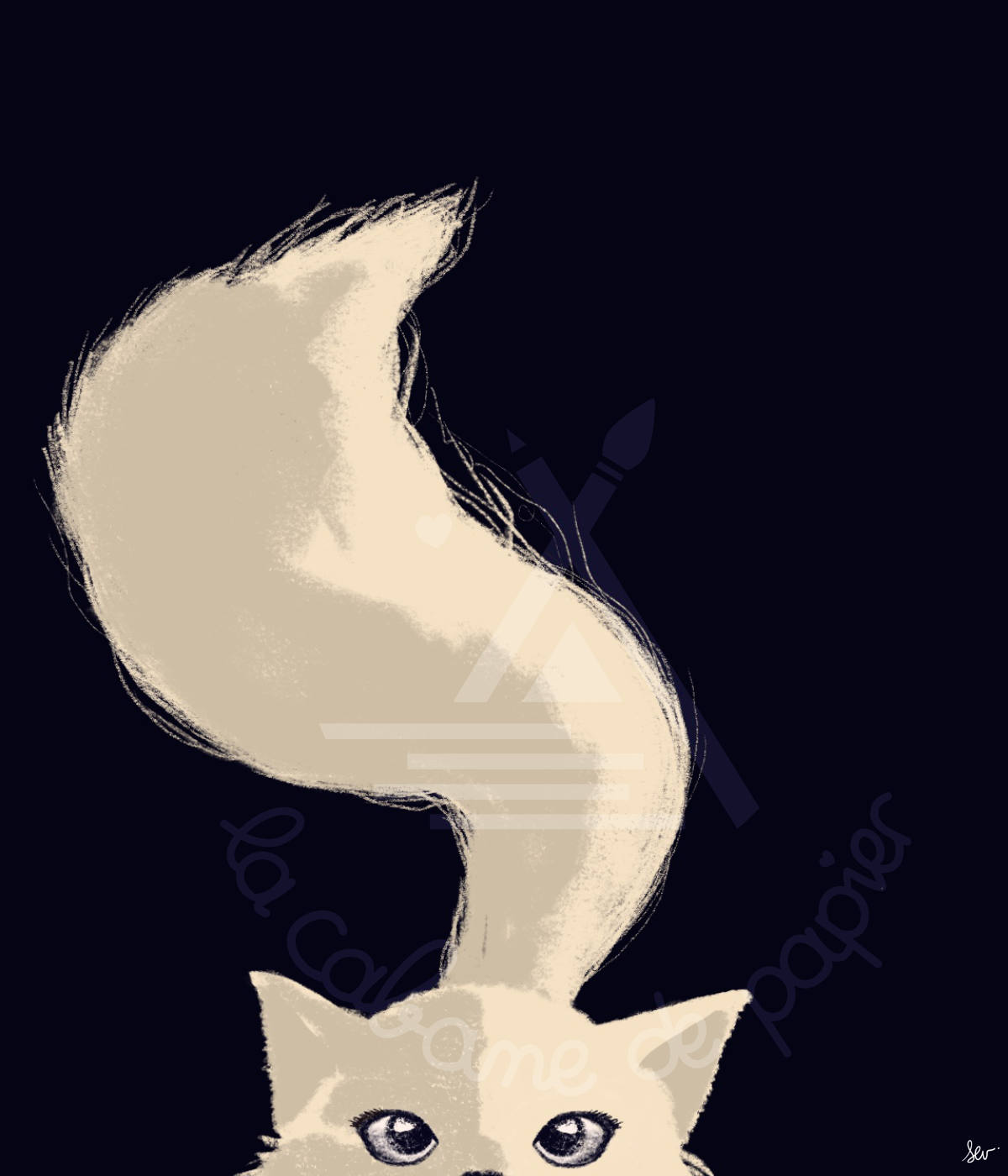 détail illustration chat