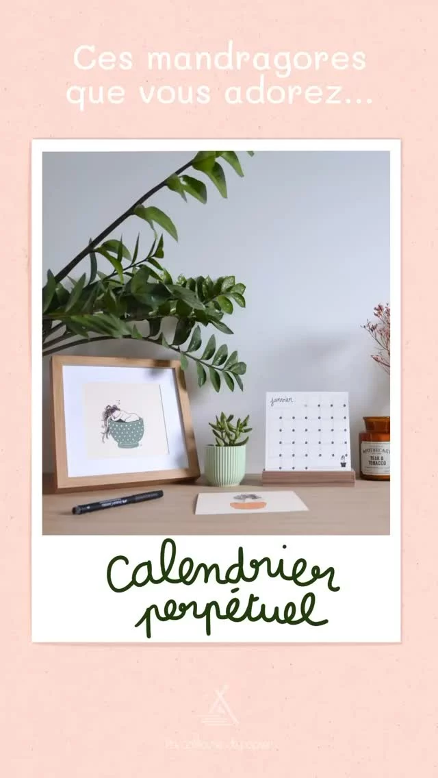 Elle vous plaisent beaucoup ces petites mandragores !

Il me reste quelques exemplaires sur la boutique, si vous n’avez pas encore craqué, c’est le moment 🪴

Bel été 😎

#mandragore #papeteriecreative #illustrationbotanique #illustratriceannecy #illustratricerumilly #lacabanedepapier